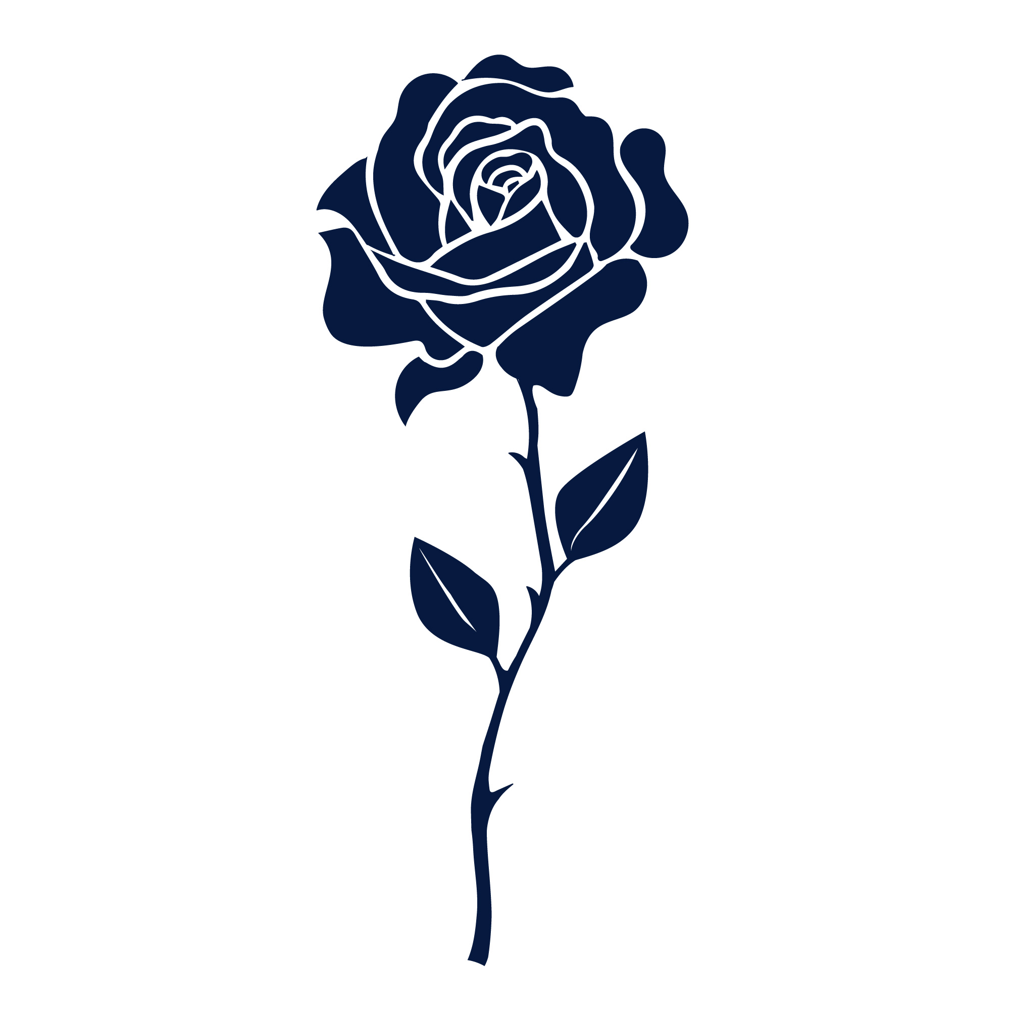 rose_thanls.jpg
